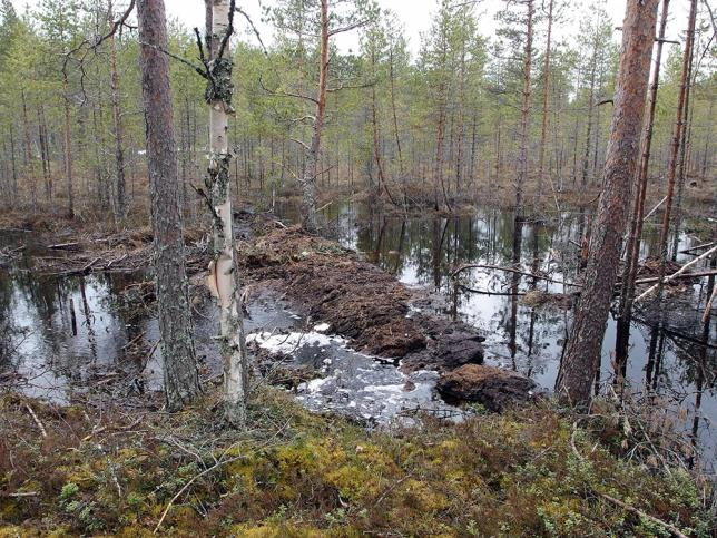 Lietealtaan alapuolinen pintavalutusalue, jossa veden jakaantumista