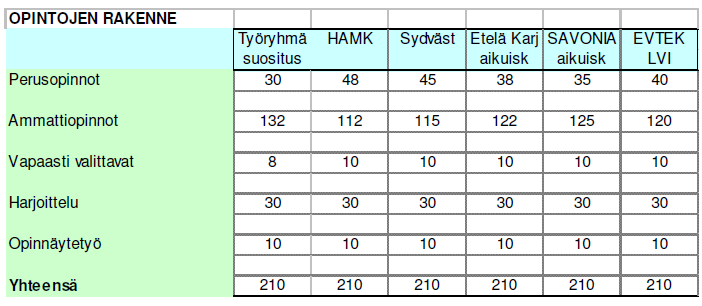 13 Opintojen laajuudeksi muodostui 210 opintopistettä.