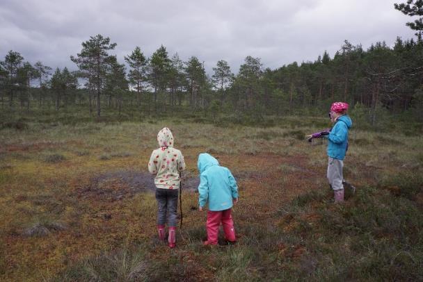 Kriteeri 26 Lasten ja nuorten metsätietämystä ja luontosuhteen kehittymistä edistetään Kriteeri koskee vain alueellista ryhmäsertifiointia (ary).