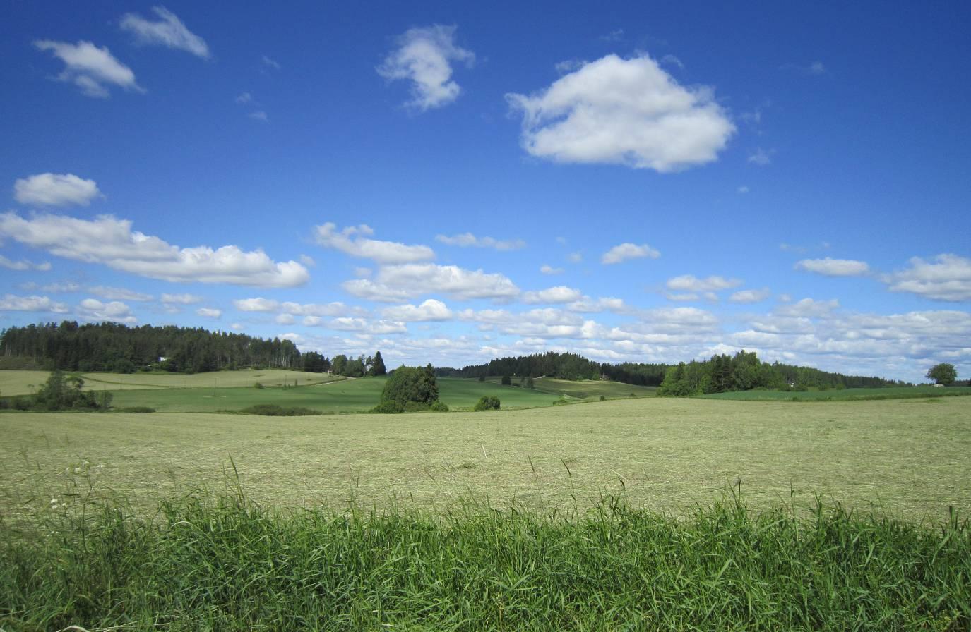 Sipoon kunta Linnanpellon osayleiskaava-alueen MAISEMASELVITYS