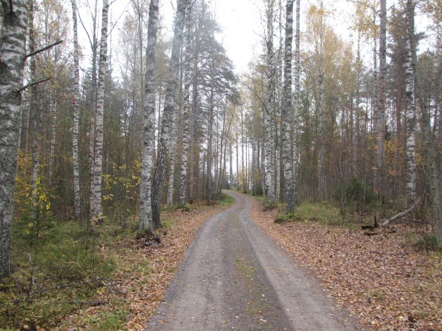 KORTTELITIEDOT, KORTTELI 17 27 Kaavoitus Asuinrakennusten korttelialue. Suurin sallittu kerrosluku on kaksi.