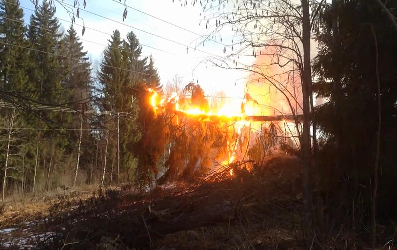 Puuviat Puiden aiheuttamat johtoviat 110 kv