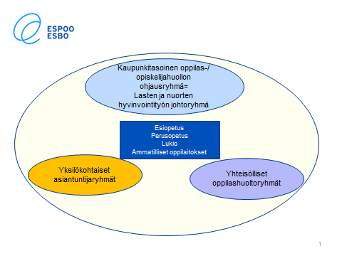 Oppilashuollon suunnitelmien ja organisoitumisen kokonaisuus Oppilashuollon suunnitelmien kokonaisuuden muodostavat: - Kuntatasoinen lasten ja nuorten hyvinvointisuunnitelma - Kuntakohtaisissa