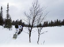 SISSIT, KATSOKAA TÄMÄ!