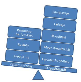 13 Kuva 3. Sotilaan kuormittumiseen vaikuttavia tekijöitä (mukailtu Tanskanen 2012, 14).