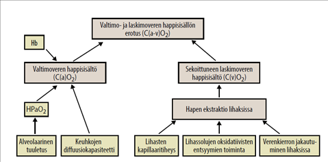 Hapenkulutus määräytyy sydämen iskutilavuuden ja syketaajuuden (cardiac output) sekä perifeerisen hapenoton perusteella (Myers ym. 1991).