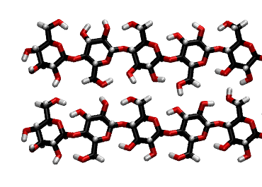 11 suuntaiset nauhamaiset ja kiertyneet polymeeriketjut. (Hadden et al. 2013) Ketjussa heliksin kierre muodostuu aina kahdesta glukoosiyksiköstä (Stone 2005).