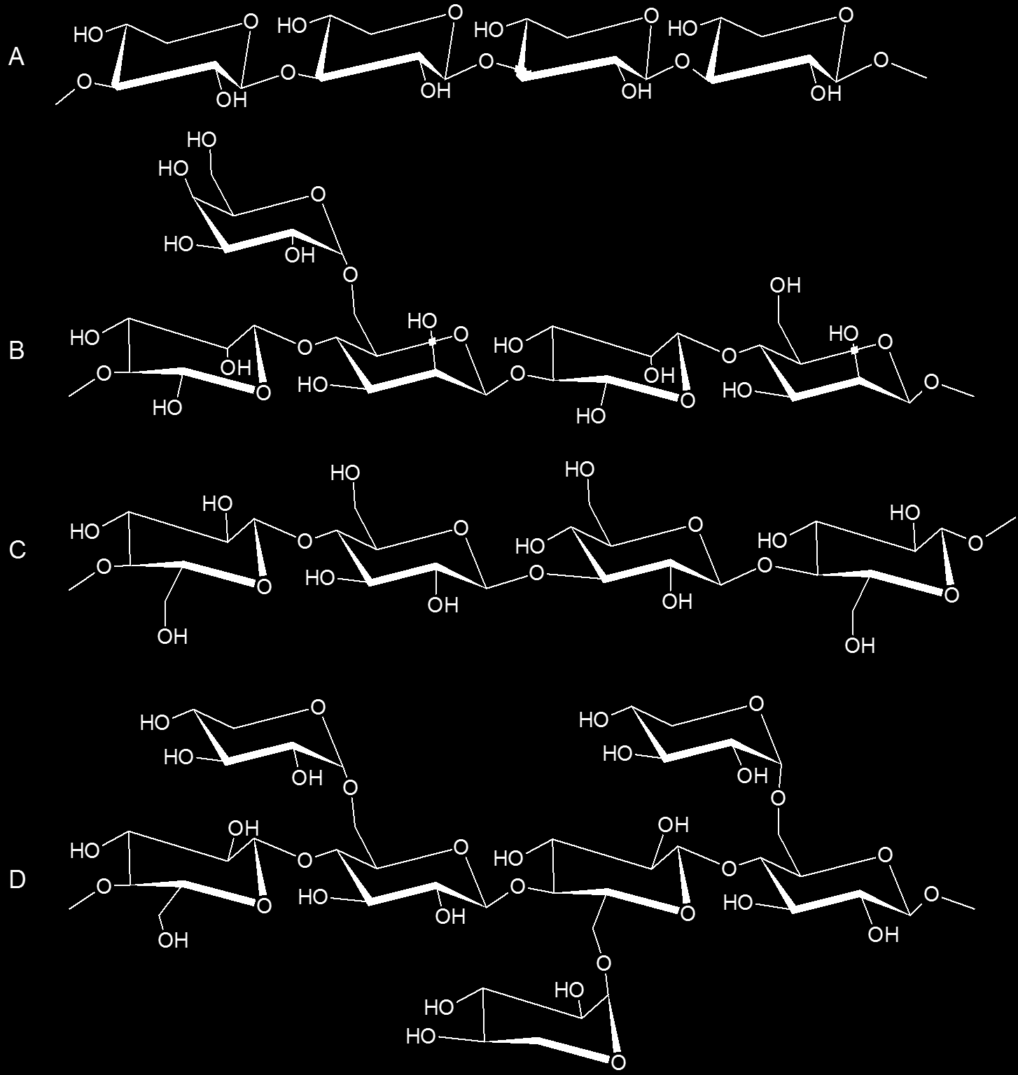 13 Ksyloglukaaneissa on (1 4)-β-D-glukopyranoosiketju, jossa on sivuryhminä glukopyranoosiyksiköiden 6-hiileen liittyneenä ksylopyranoosiyksiköitä (kuva 5).