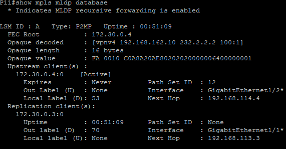 33 Kuva 16 P11-laitteen MPLS MLDP -tietokanta 7 YHTEENVETO Työssä käytetyt tekniikat ja protokollat tarjoavat useita mahdollisuuksia verkkojen kehittämiseen.