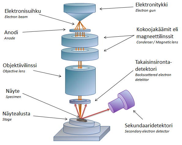 21 Kuvio 6. Pyyhkäisyelektronimikroskoopin toimintaperiaate (Atteberry 2009). Elektronisuihkun osuessa näytteeseen pinnassa tapahtuu energiamuutoksia (Pelttari 2007, 36).