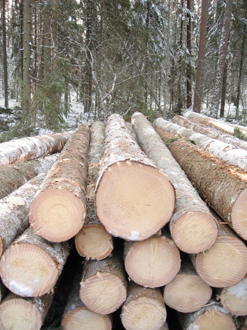 Metsätalous numeroina Metsätalouden liikevaihto vuonna 2013 oli 336 milj. euroa. Tulot teollisuudelle toimitetusta puusta, asiakkaina noin sata sahaa ja sellu- tai paperitehdasta.