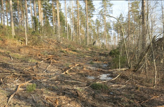 Kaava-alue Rantayleiskaavan muutos koskee Märkjärven pohjoisrannalla tilaa Tokkola 4:94.