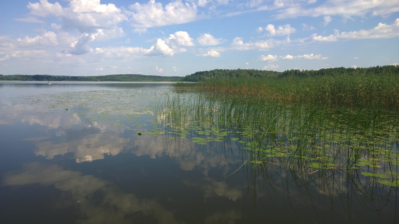 Kalastonhoito ja kalastaminen