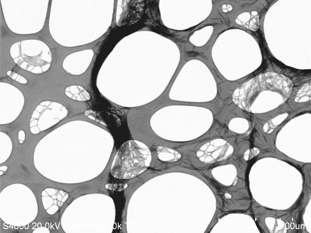 30 Eri synteeseiden välillä ei havaittu merkittävää eroa nanoviiksien koossa. Käytetyllä synteesiohjeella tuotettujen nanoviiksien koko on pituudeltaan noin 150-250 nm ja leveydeltään noin 15-25 nm.