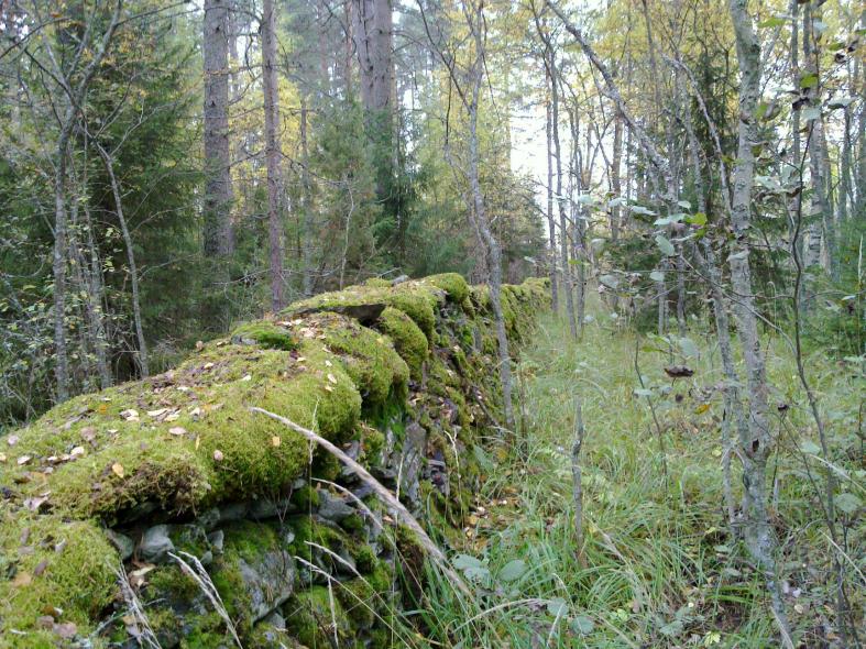 05-03m korkea. Luoteispäässä viimeinen 50 m aidasta on huonokuntoista.