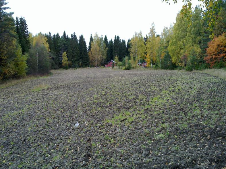 lähialueelle metsään muinaisrantatörmän päälle runsaasti koekuoppia kivisen moreenimaahan havaitsematta mitään esihistoriaan viittaavaa.
