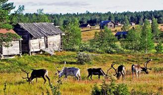 Lapinkylien vuodenkierrosta rajasulkuun Rm. 338, v. 1765, Fredrik 5. Enontekiö, Palokorsa, N-J.