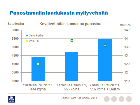 37 Lisälannoitus: Jos haluaa panostaa satoon, voi koko lisälannoitusmäärän levittää jo korrenkasvuvaiheessa.