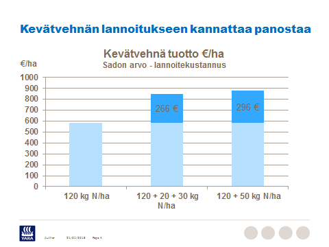 38 Tämä koetulos osoittaa, että 120 kg typpeä (444 kg lannoitetta/ha) oli liian vähän Marble-vehnälle. Lannoituksen lisääminen nosti satoa ja erityisen selvästi valkuaispitoisuutta.