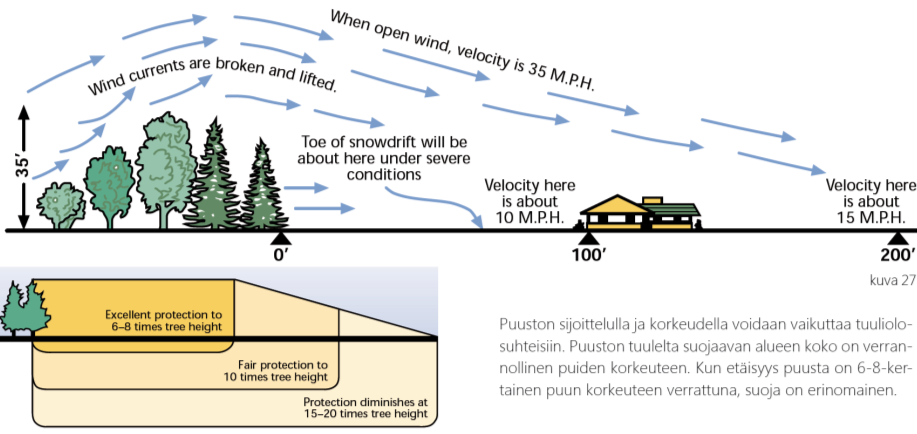 Kasvillisuus ja istutukset Kasvillisuus on esteettisesti