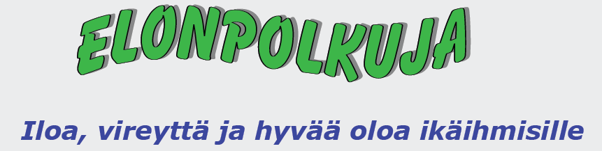 Verkoston laajeneminen Syntyi yhdessä valittu nimi ja logo: Vuoden 2001 kesäkuusta lähtien pysyvä vakanssi verkoston koordinoinnille Yhteistyökumppaneiden määrä on kasvanut 1999: n.