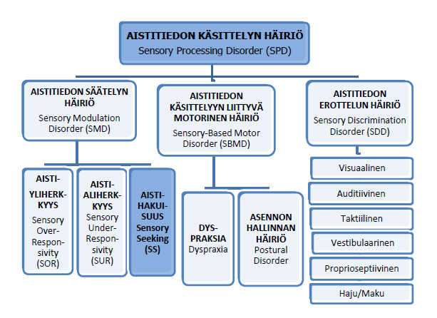 23 ikänsä perusteella suoriutuvan. (Sensorisen Integraation häiriö nd.). Tässä opinnäytetyössä keskitytään aistitiedon käsittelyn häiriöistä vain aistitiedon säätelyn häiriöihin.