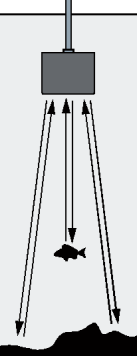 Yleistä Tämä tuote on suunniteltu käytettäväksi kesä- ja talvikalastuksessa kalojen, syvyyden ja pohjanmuotojen määrittämiseksi. Luotaimen käyttö perustuu ääniaaltojen hyödyntämiseen.