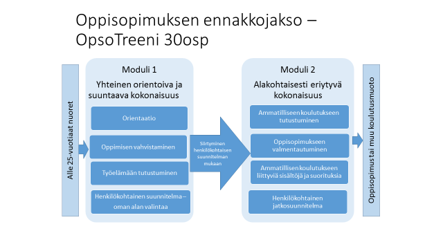 Opintojen sisältö Oppisopimuksen ennakkojakso koostuu kahdesta moduulista (ks. kuvio), joiden aikana opiskellaan keskeiset opintojen sisällöt, jotka on lueteltu kuvion alla. 1.