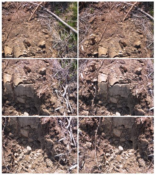 Forest Planter Teemu Kemppainen & Arto Visala (2013), Stereo Vision Based