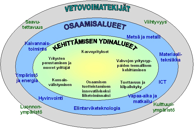 3.5.5. Ohjelman painopisteet ja alueelliset teemat Kuva 8.