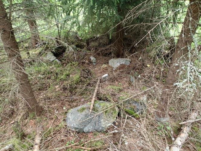 Kuvattu länteen Pohjoisempi kiuas sijaitsee tiheikössä. Etualalla on kiukaan äestyksessä rikkoutuneen länsiosan kiveystä.