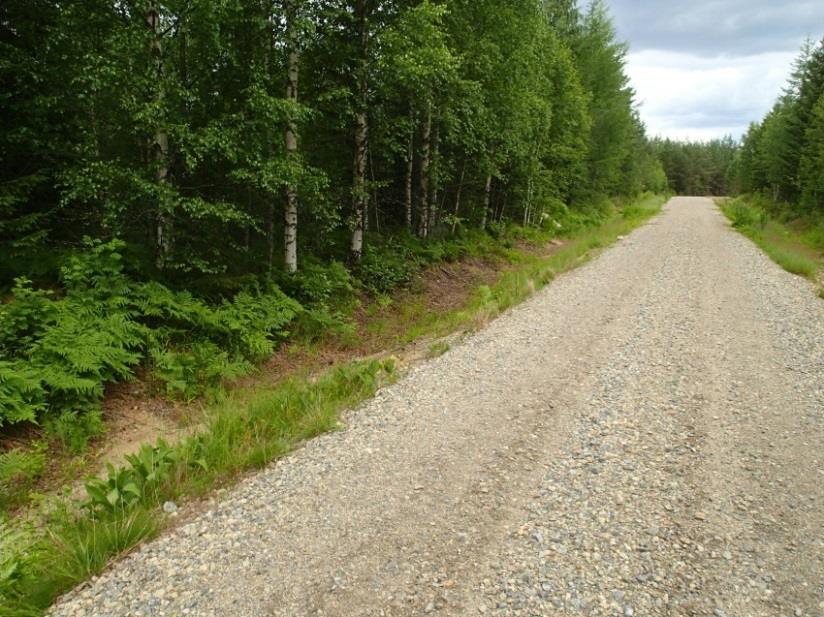 Muinaisjäännösrajaus oranssilla.