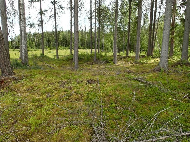 tyyppi: Ajoitus: Kiinteä muinaisjäännös Tervahauta (tar pit)