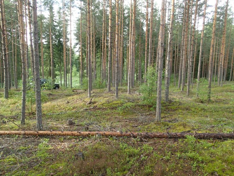 viettävässä loivassa rinteessä on hiilimiilun pohja, jonka halkaisija on