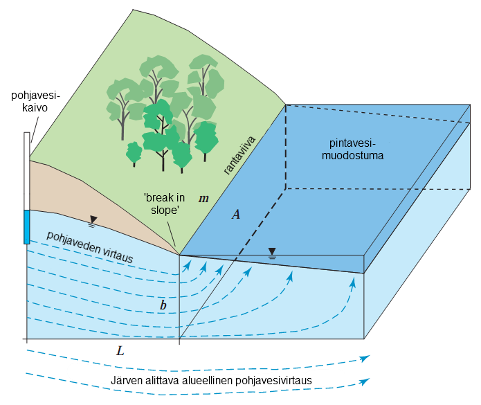 Kuva 6. Tyypilliset virtausolosuhteet pinta- ja pohjaveden välillä (muokattu LaBaugh & Rosenberry 2008).