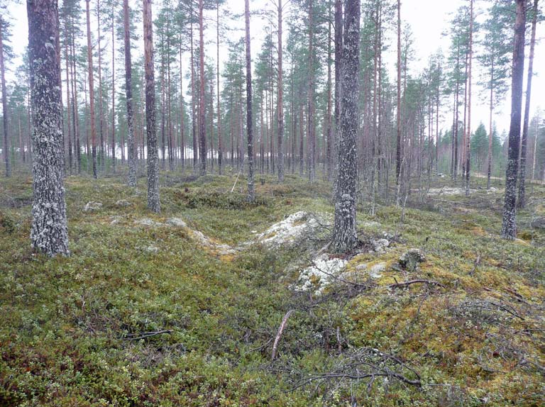 Maakaapelilinja; harmaa viiva, tuulivoimala; sininen