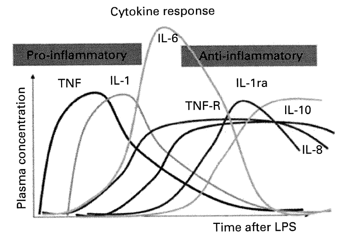 Tulehdusvaikutusten mittaaminen - sytokiinivaste Eri tulehdusvälittäjäaineiden (sytokiinit) ilmaantumisen aikajärjestys E. coli bakteerin soluseinän lipopolysakkaridin (LPS) antamisen jälkeen.