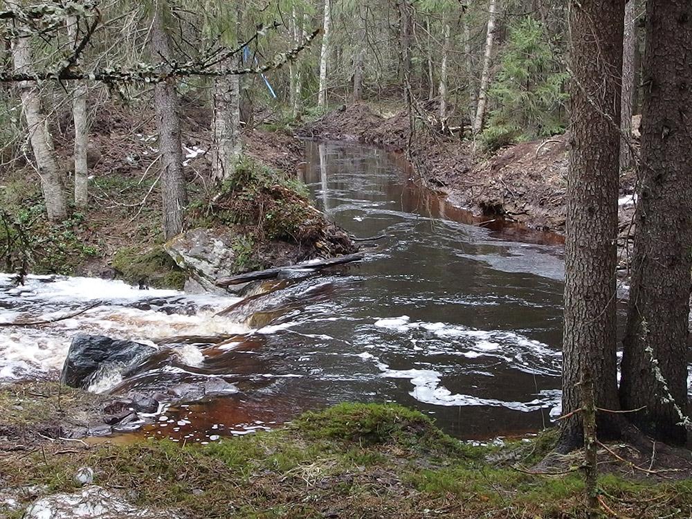 Metsätalouden vesistökuormitus Merkittävin