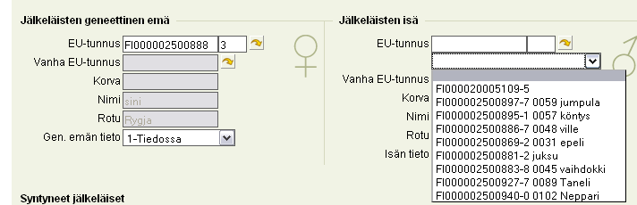 10 Valitaan poikimispäivä kalenterista tai näppäillään se muodossa pp.kk.vvvv. Päivämäärä ei saa olla tulevaisuudessa. Syntyneitä-kenttään tulee se lukumäärä, mitä syntyneitä on yhteensä.