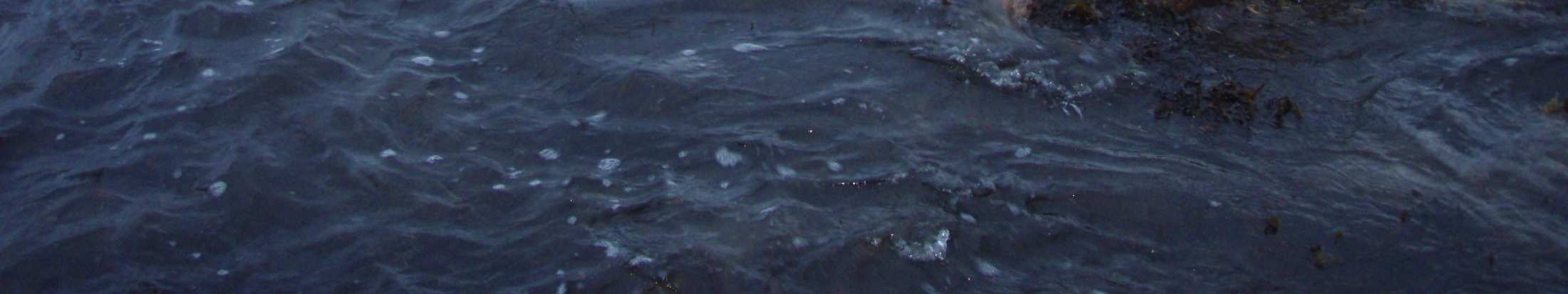 Vantaanjoki Mustajoki Ari Saura,