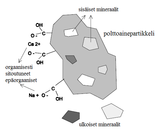 28 3 TUHKAN MUODOSTUMINEN Tässä kappaleessa käydään läpi tuhkaa muodostavat aineet sekä tuhkan muodostuminen. 3.1 Tuhkaa muodostavat aineet polttoaineessa Tuhka muodostuu polttoaineessa olevasta epäorgaanisesta, mineraalipitoisesta aineksesta.