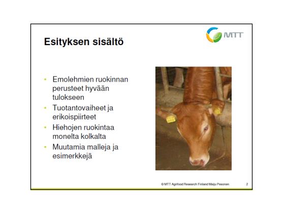 HANKKEESSA TARVITAAN ASIANTUNTI- JOITA Limousin à la carte tuotanto vaatii kiinnostusta kuntoluokkiin ja ruokintaan Emolehmäseminaarissa 2012 päivän teemana olivat naaraat.