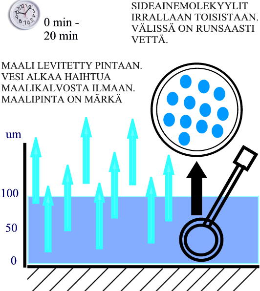 LIUOTINMAALI / VESIOHENTEINEN MAALI / LIUOTTEETON MAALI / JAUHEMAALI Dispersiomaalin kalvonmuodostusmekanismi Kuva 14. Dispersiomaali. Vaihe 1.