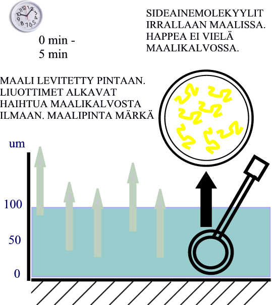 ALKYDIMAALIT Yksikomponenttisia ja hapettumalla kovettuvia. Kuva 20. Alkydimaalin kalvonmuodostus. Vaihe 1. Metallimaaleissa sideaineena on öljymodifioitu alkydi-, epoksi- tai uretaanihartsi.