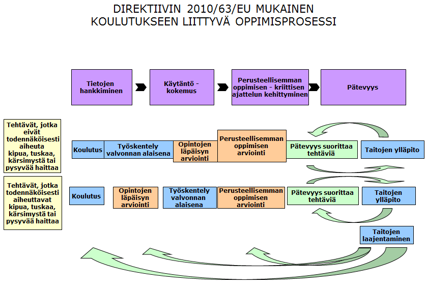 Oppimisprosessi Edellä esitettyjen seikkojen perusteella ehdotetaan seuraavanlaista oppimisprosessia: Jotta asiaankuuluvia koulutusvaatimuksia ja henkilöstön vapaata liikkuvuutta koskevat toivotut