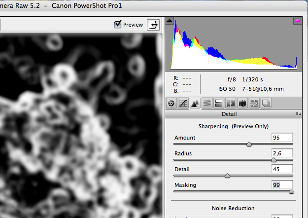 Huomaa, että (Preview only) ei koske alempana olevaa Noise Reductionia! Sharpen ja Noise säädöt eivät näy kuvassa lainkaan ennen kuin se on 100% tai suuremmassa koossa. Uskomattoman typerää Adobelta.