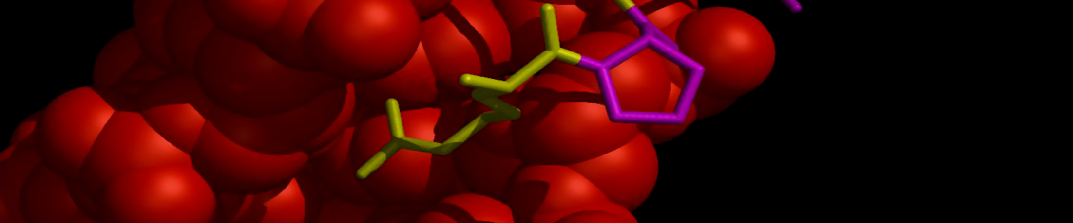 Esim sirppisoluanemia: yksi emäs vaihtunut (T A) yksi aminohappo muodostuvassa valkuaisaineessa vaihtunut erilainen hemoglobiini sirppimäinen punasolu. 2.