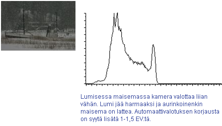 Seuraa kuvan histogrammia!