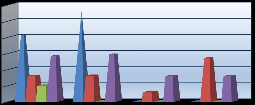 Irtaimistoinvestointisuunnitelma 2016-2019 300 000 250 000 200 000 150 000