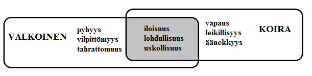 Kukkiin ja lemmikkeihin liittyvät merkitykset yhdistyvät vastakohtapareiksi siis jaetun semanttisen yhteisalueen kautta edellä esiteltyjen kuvioiden mukaisesti.